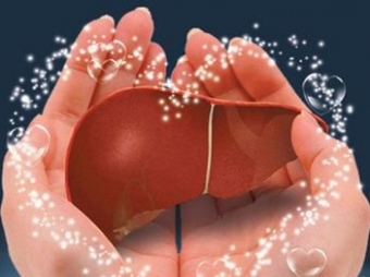 市立醫(yī)院關(guān)于酒精肝的幾點(diǎn)建議