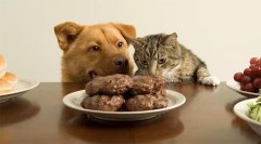 胃脹、噯氣、吃一點(diǎn)兒就飽，飲食上需要注意什么？